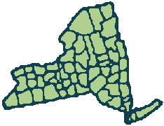 Map of New York highlighting statewide telepsychiatry coverage